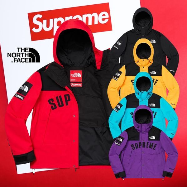 【Supreme X The North Face】Arc Logo Mountain Parka シュプリーム ザ ノース フェイス アーチ ロゴ マウンテン パーカー ジャケット